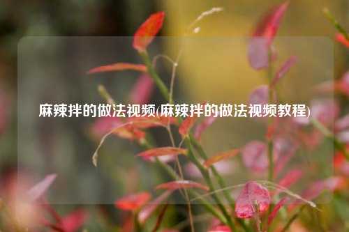 麻辣拌的做法视频(麻辣拌的做法视频教程)
