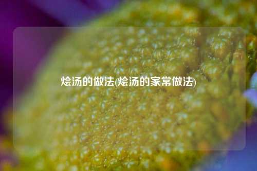 烩汤的做法(烩汤的家常做法)