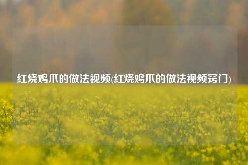 红烧鸡爪的做法视频(红烧鸡爪的做法视频窍门)