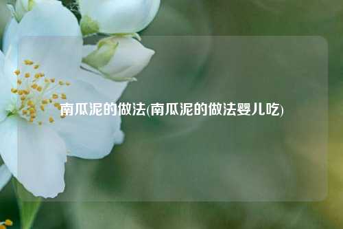 南瓜泥的做法(南瓜泥的做法婴儿吃)