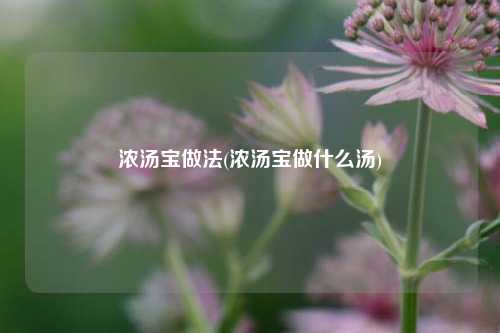 浓汤宝做法(浓汤宝做什么汤)