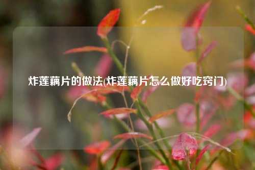 炸莲藕片的做法(炸莲藕片怎么做好吃窍门)