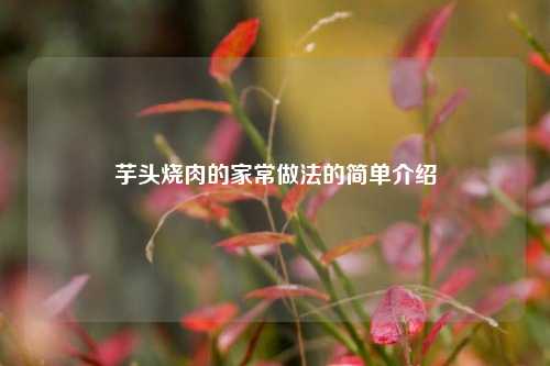 芋头烧肉的家常做法的简单介绍