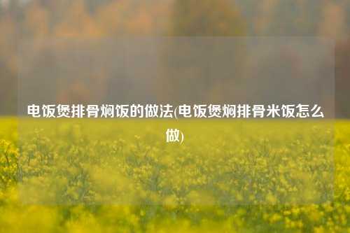 电饭煲排骨焖饭的做法(电饭煲焖排骨米饭怎么做)