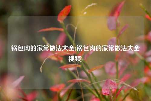 锅包肉的家常做法大全(锅包肉的家常做法大全视频)