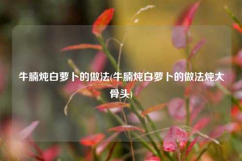 牛腩炖白萝卜的做法(牛腩炖白萝卜的做法炖大骨头)