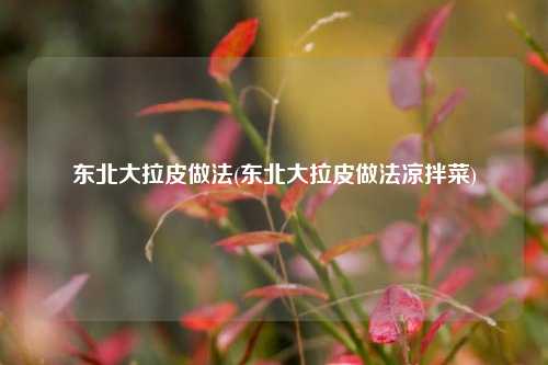 东北大拉皮做法(东北大拉皮做法凉拌菜)